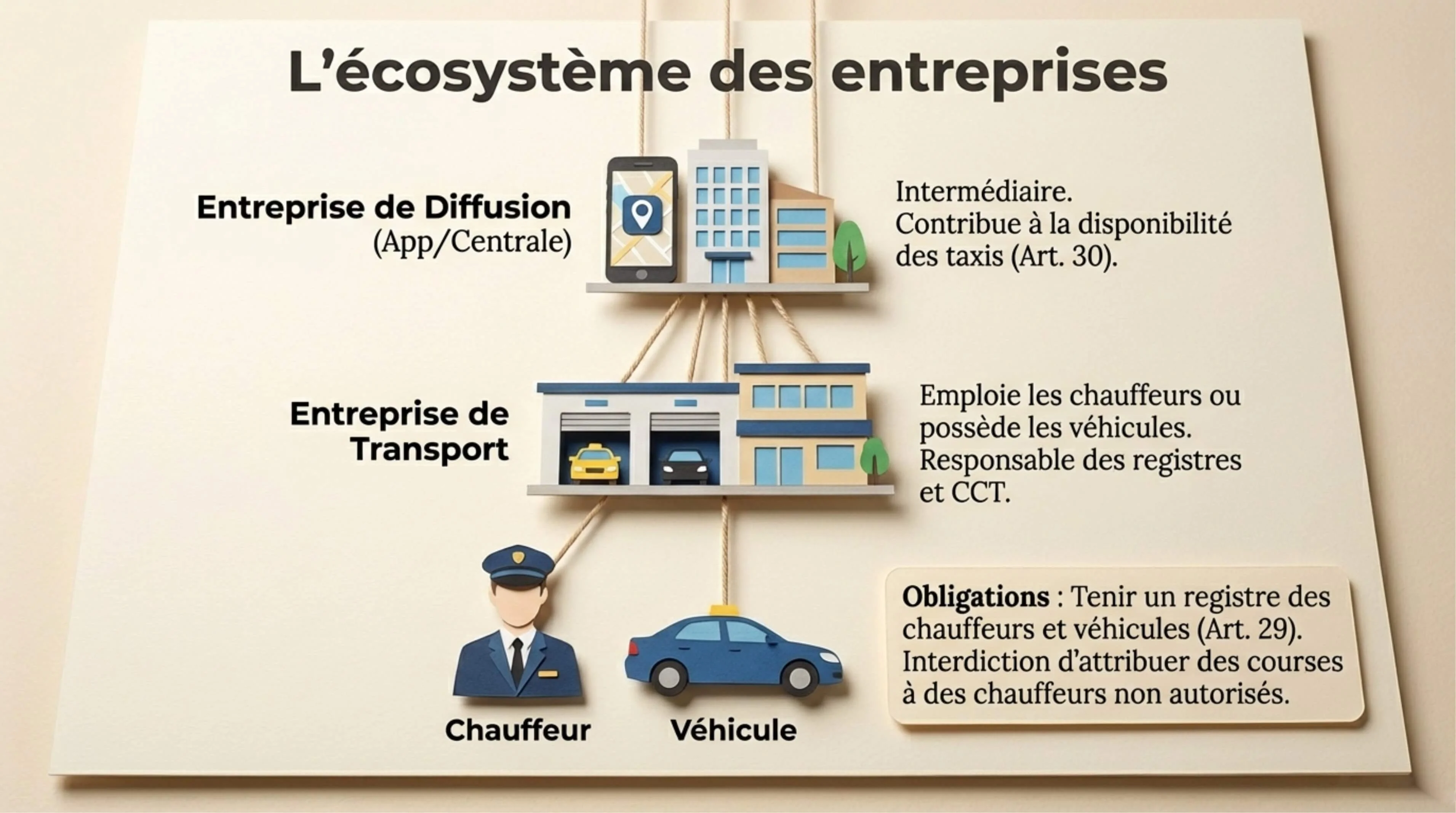Résumé visuel — Chapitre I, Article 5 (2)